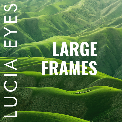 Large Frame Blue Light Glasses